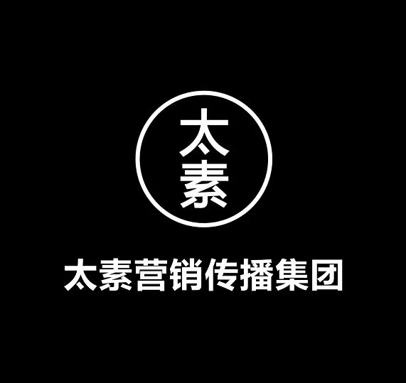 上海太素信息科技有限公司，进军GEO生成引擎优化赛道
